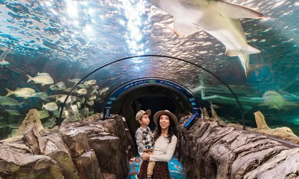 Sea Life Aquarium