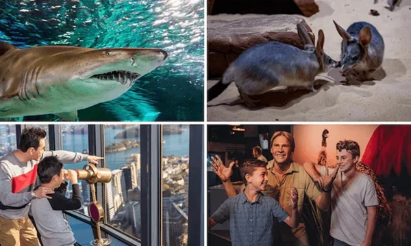 Sydney Attractions Pass 4