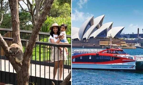 Taronga Zoo Ferry Combo