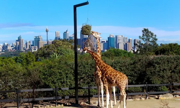 Taronga Zoo GenAd